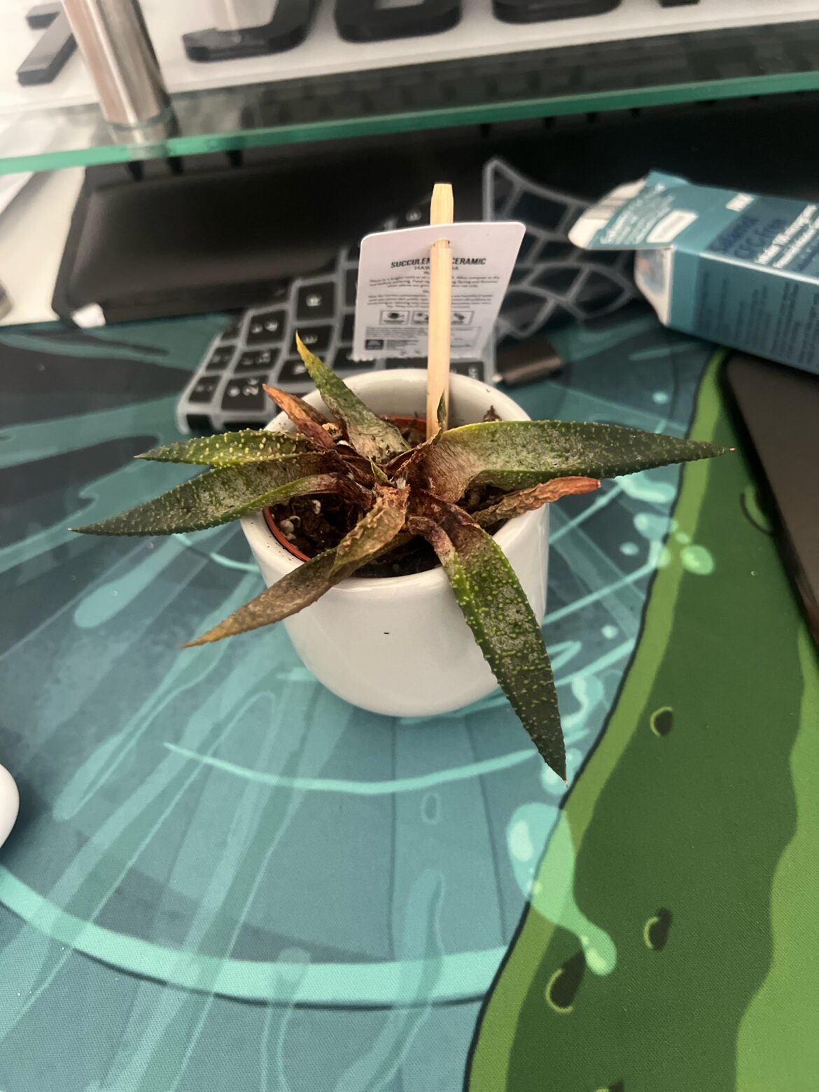 Propagation