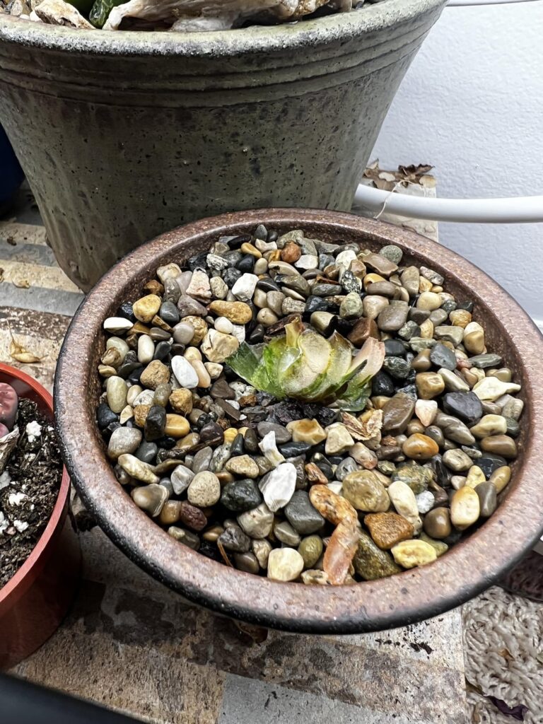 Recovery story.