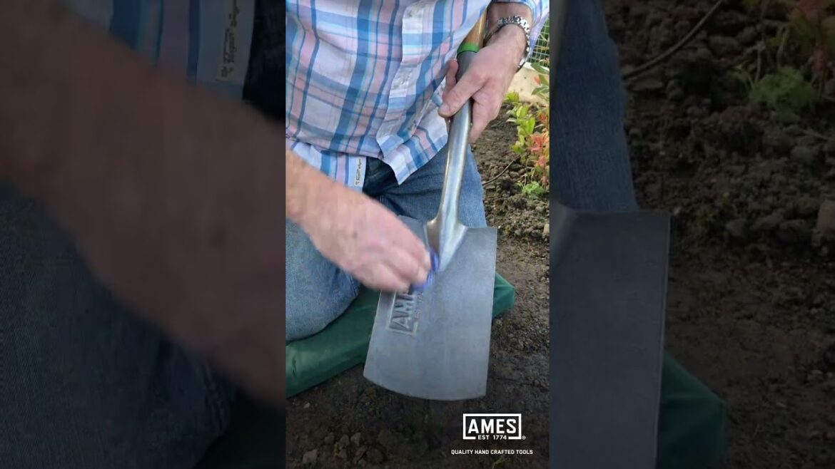 David Domoney: AMES Garden Tips - Clean your garden tools with cooking oil
