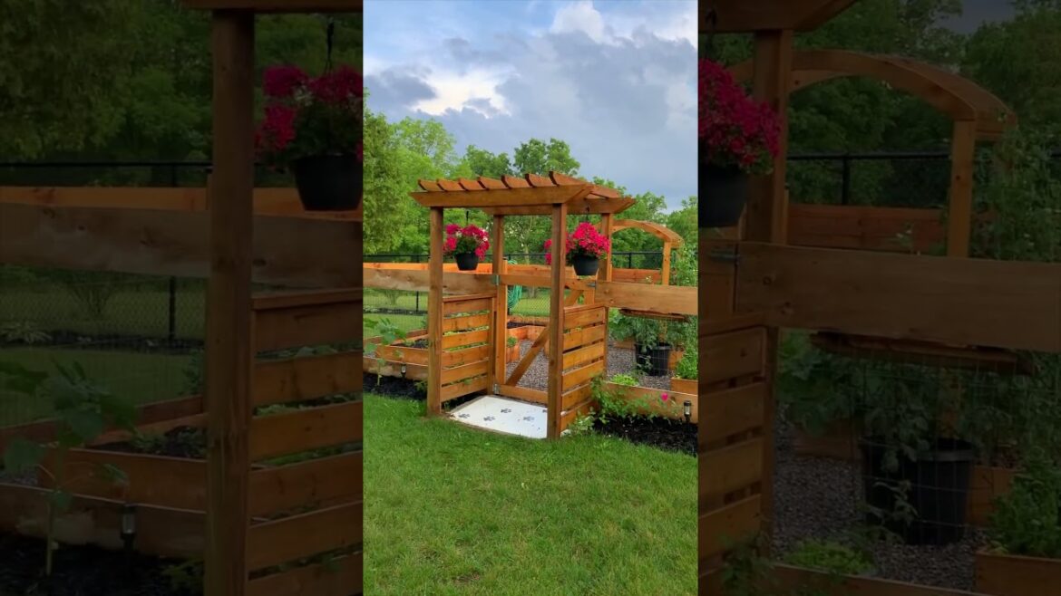 Here’s every backyard project since 2020!! Do you have a fave? Part 1 #homedesign #backyard