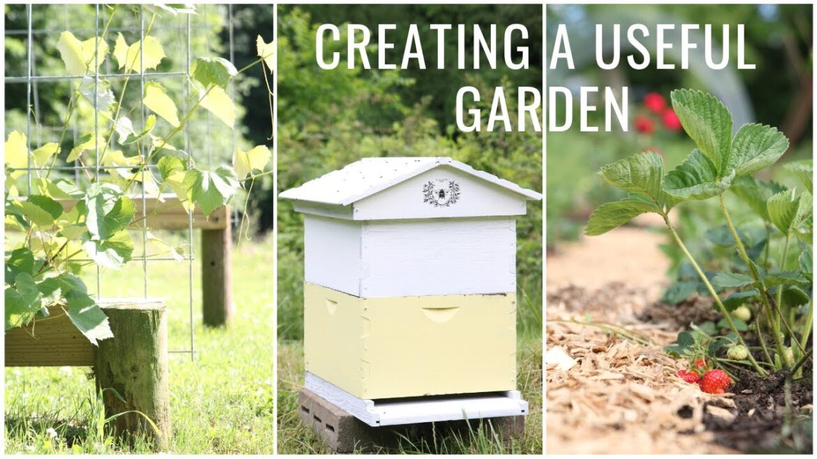 Growing your own Food ~ Fruit Garden Design ~ Garden Layout ~ Homesteading Garden ~ Garden with Me