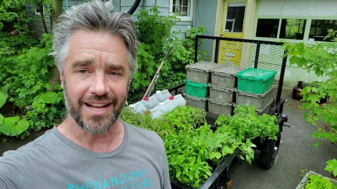 Planting Planting Planting! Planting Planting Planting!