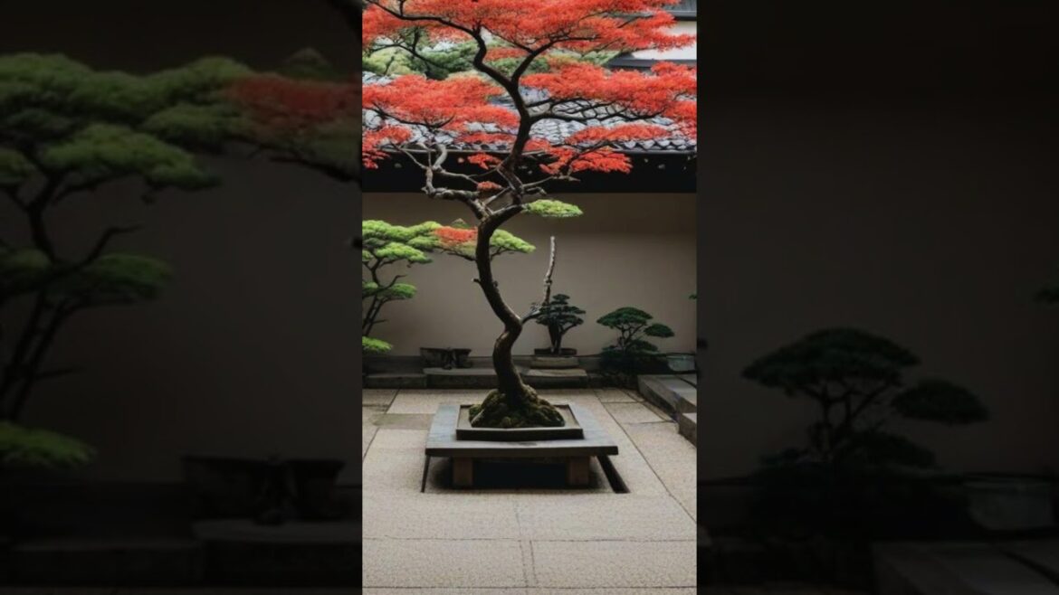 Japanese Courtyard Homes | 10 Key Elements Explained for Design Perfection! 17 Japanese Courtyard Homes | 10 Key Elements Explained for Design Perfection! 17