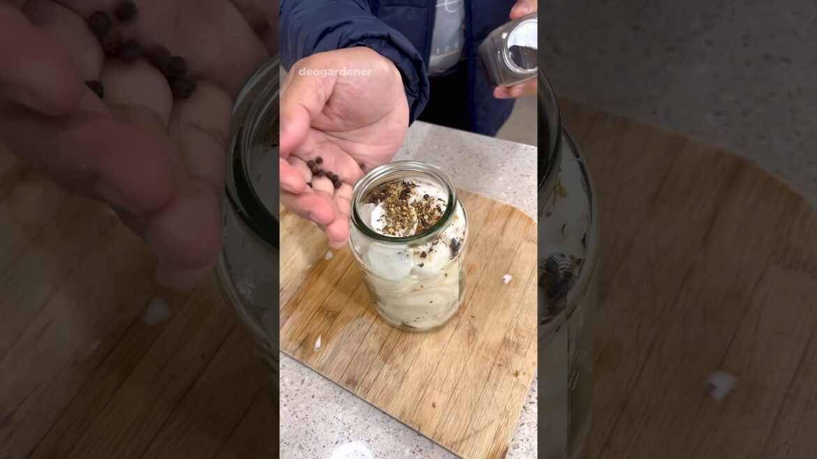 Pickling turnips harvest #gardening #vegetablegardening #pickle #turnip #fyp