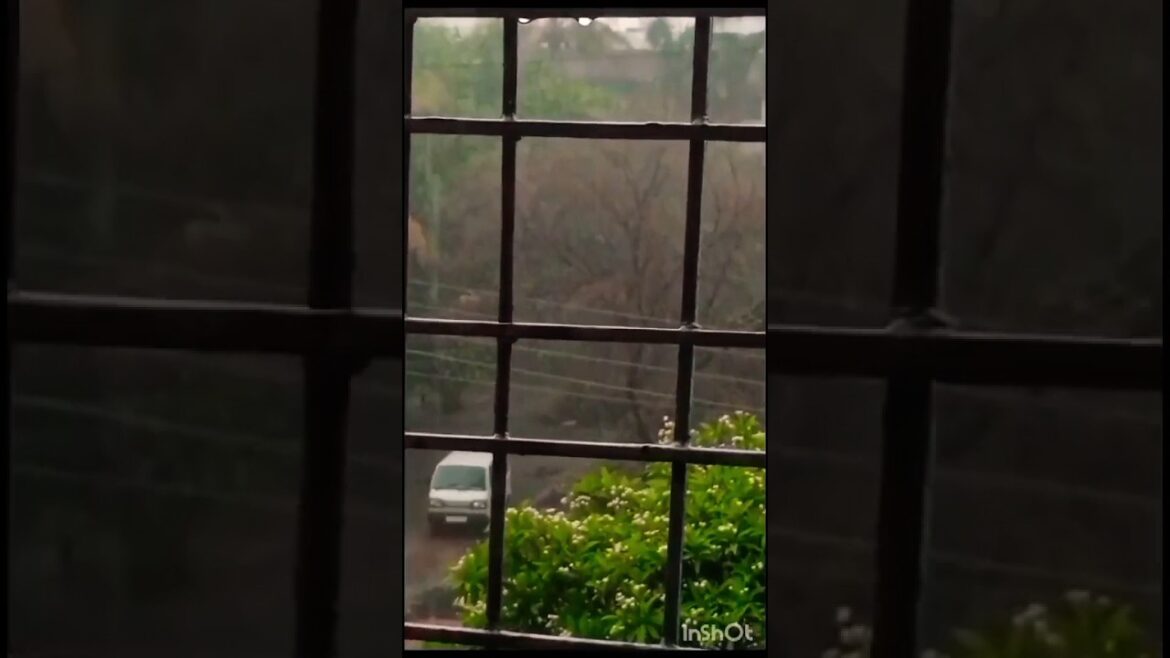 Musical Monsoon Magic in the Garden 🪴 💦💨🌨️🌧️☁️🌩️ #song #shorts#gardening #music Musical Monsoon Magic in the Garden 🪴 💦💨🌨️🌧️☁️🌩️ #song #shorts#gardening #music