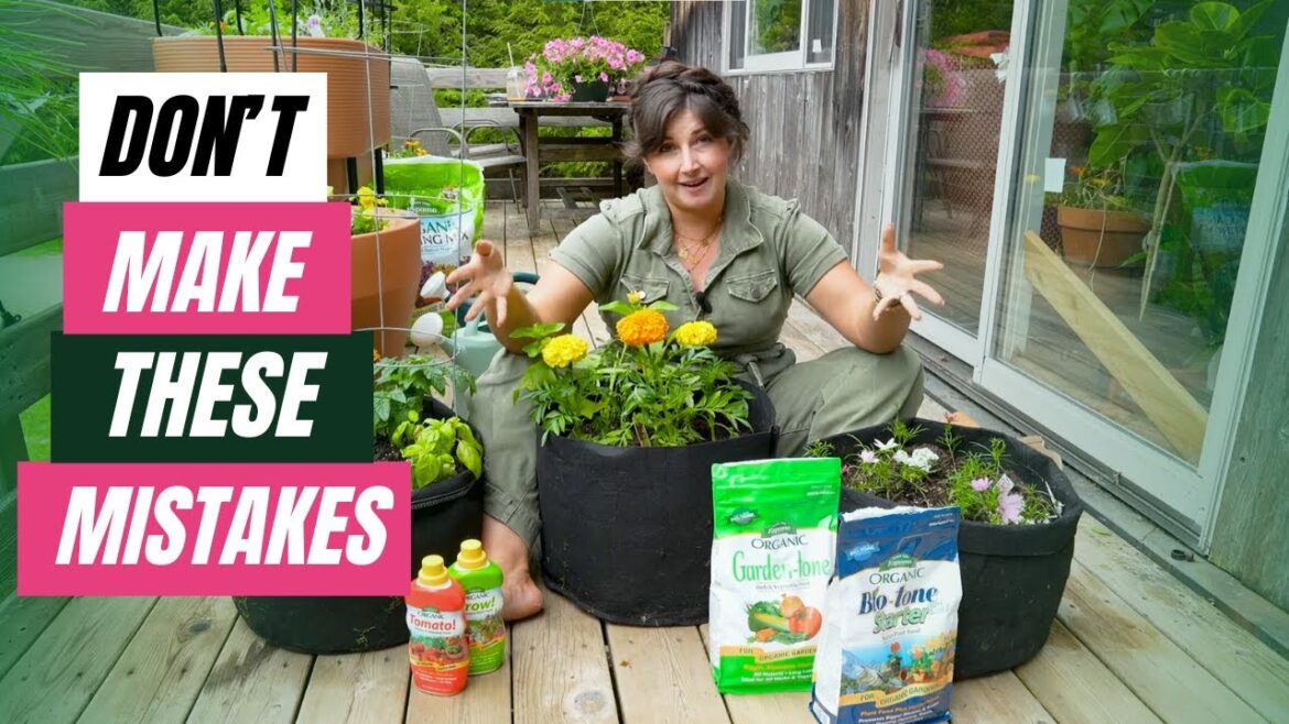 6 Common Beginner Balcony Gardening Mistakes // Balcony Vegetable Gardening Tutorial