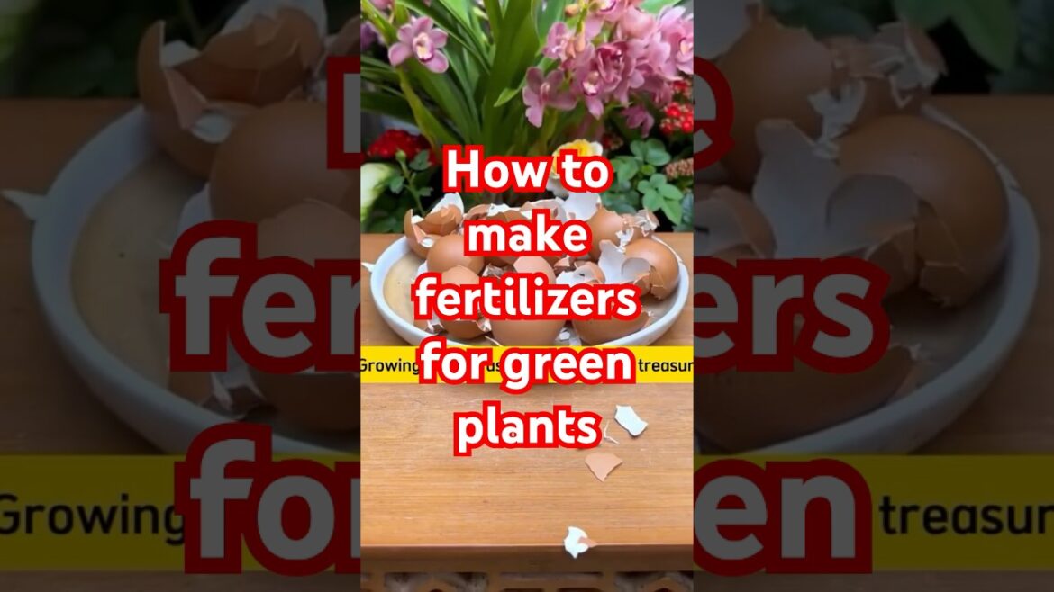 Elevate Your Garden Game: Top Tips for Stunning Flowers. #gardening #flowers #shorts_video Elevate Your Garden Game: Top Tips for Stunning Flowers. #gardening #flowers #shorts_video