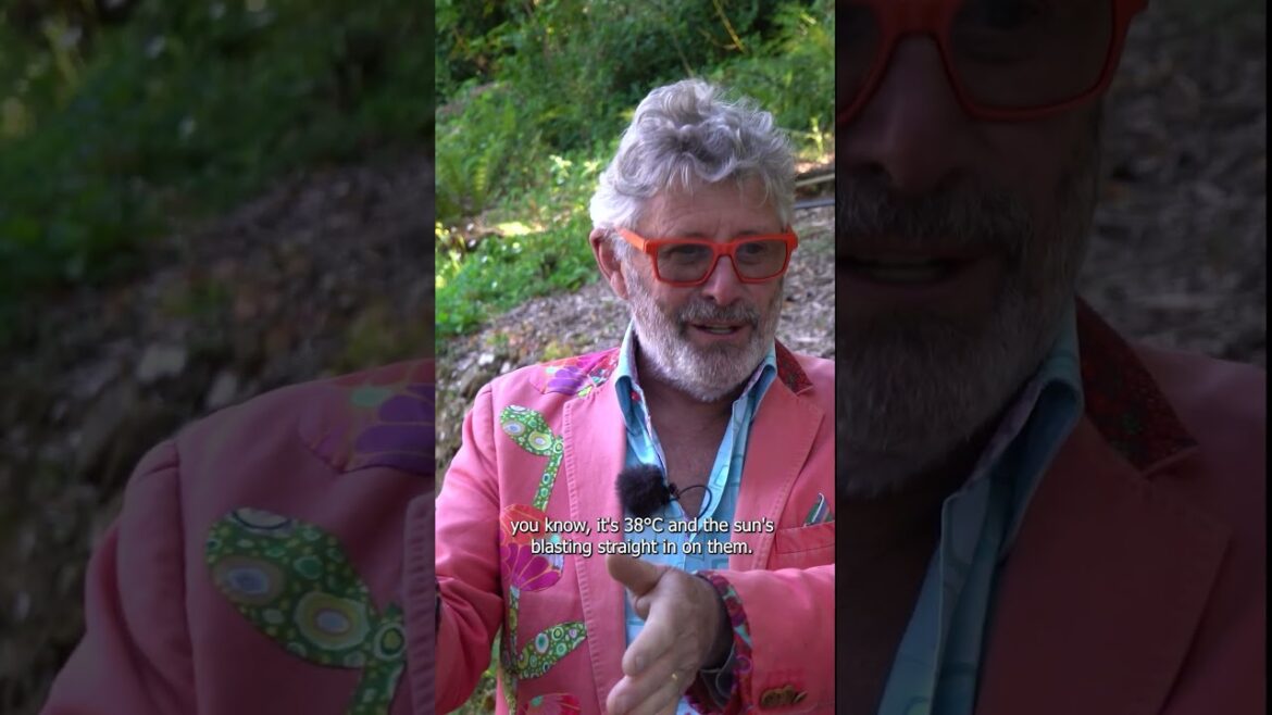 Top shade garden tip! … #backyardgarden #gardening #gardenseries Top shade garden tip! ... #backyardgarden #gardening #gardenseries