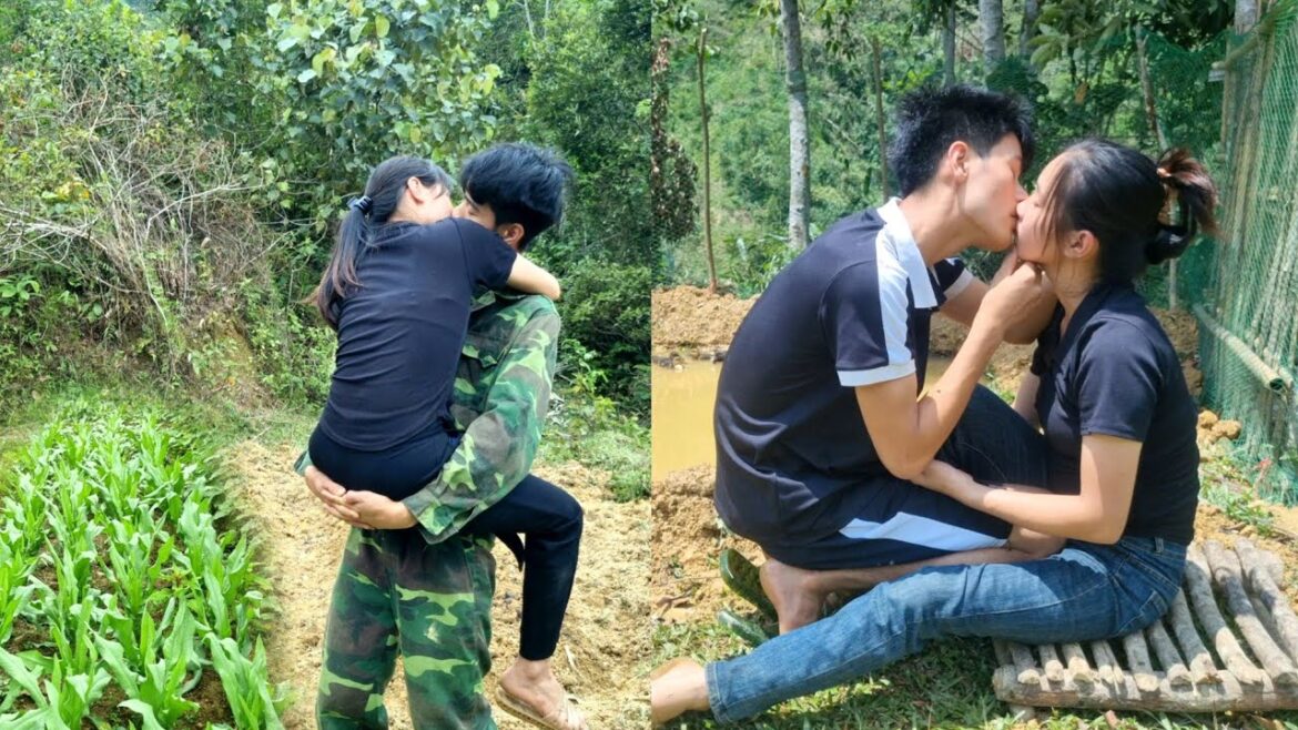 Full 90-day video: vegetable gardening, harvesting watermelon, sticky corn to sell at the market Full 90-day video: vegetable gardening, harvesting watermelon, sticky corn to sell at the market