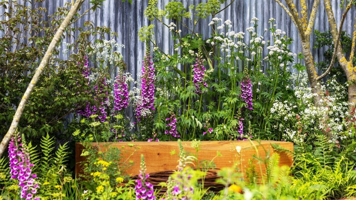 RHS Chelsea Flower Show 2024: Trends to try at home #chelseaflowershow #gardenideas #rhsgarden RHS Chelsea Flower Show 2024: Trends to try at home #chelseaflowershow #gardenideas #rhsgarden