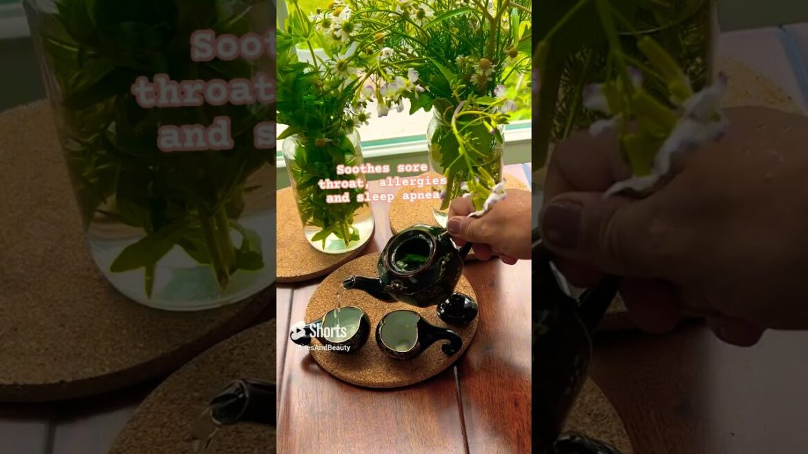 Do you know this? Bouquets Harvesting for Tea & Edible Flowers | Kitchen Garden for Clean Skin Tone