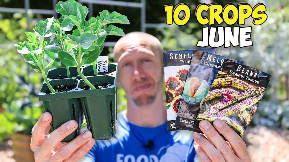 10 Crops You'd Be Foolish Not to Plant in June
