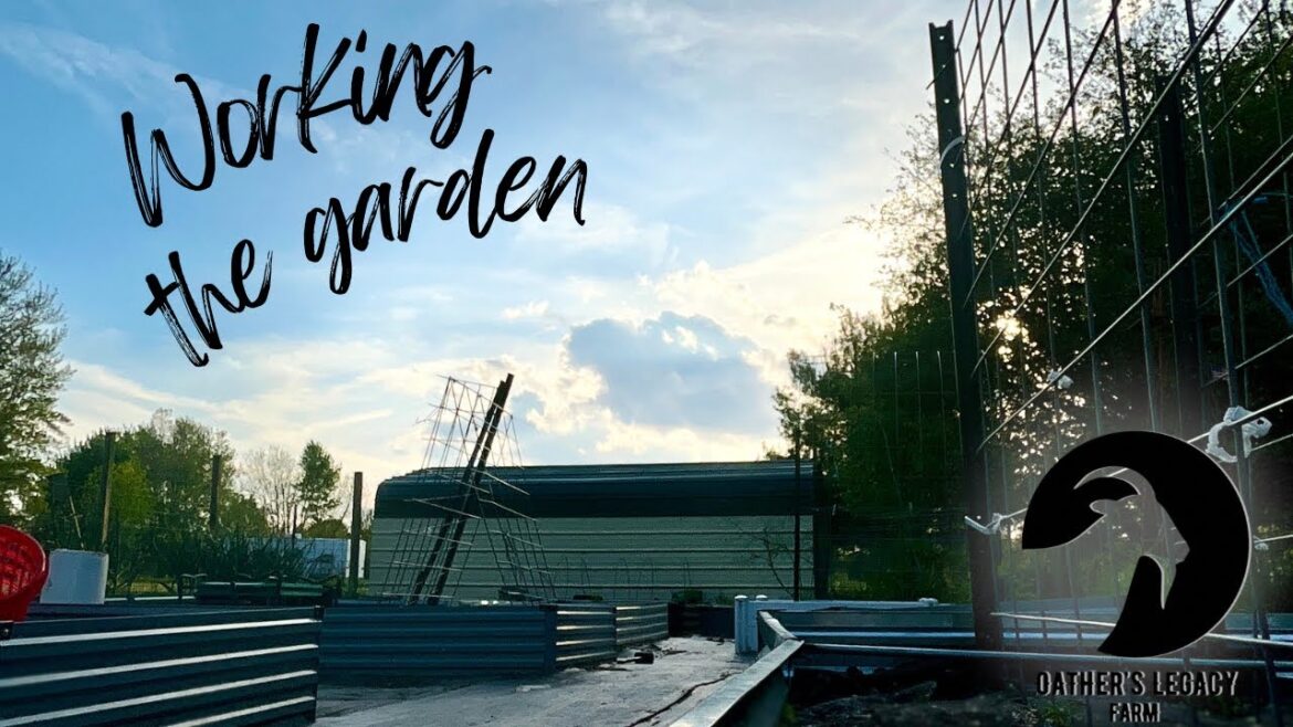 What our homestead garden plans are