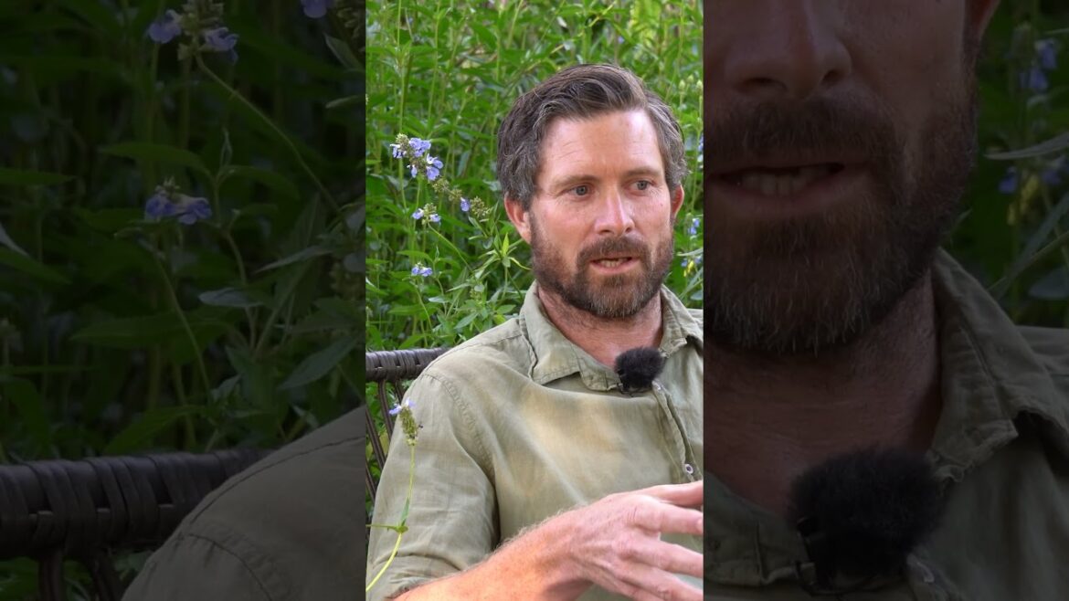 Easy cottage garden planting tip! Easy cottage garden planting tip!