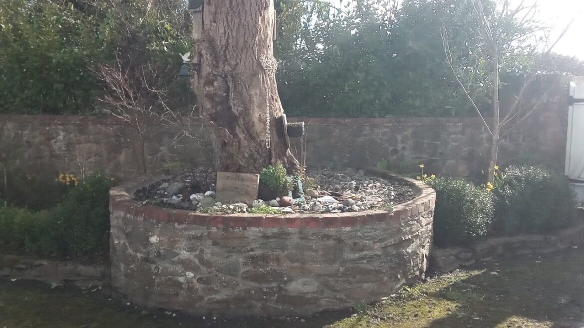 Front Yard Landscape Garden Tour End of Winter 2024