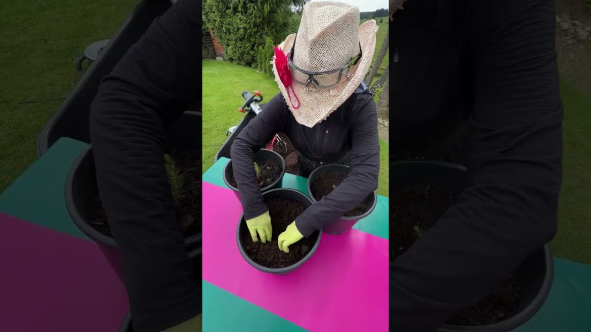 #soiltips, Atika Mixer, Kräfteschonend Beet- & Garten-Erde mischen, Schnell & Einfach, GardenSoil