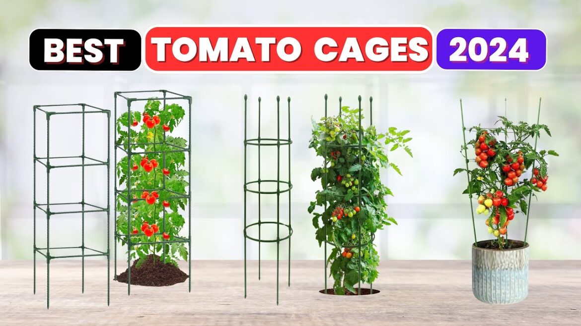 Best Tomato Cages 2024 | Top 5 Tomato Cages Review
