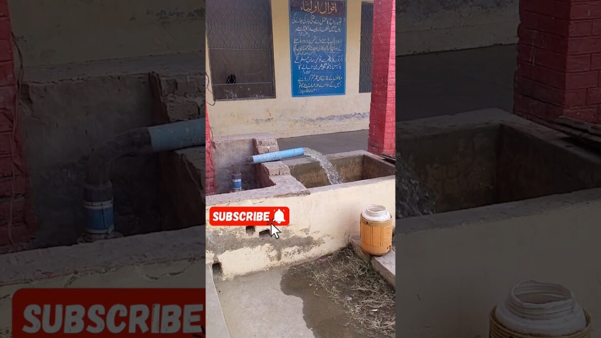 Mini tubewell#shorts#ytshorts#villagelife#viral#trending#viralvideo#tubewell#gardening#plants#nature Mini tubewell#shorts#ytshorts#villagelife#viral#trending#viralvideo#tubewell#gardening#plants#nature