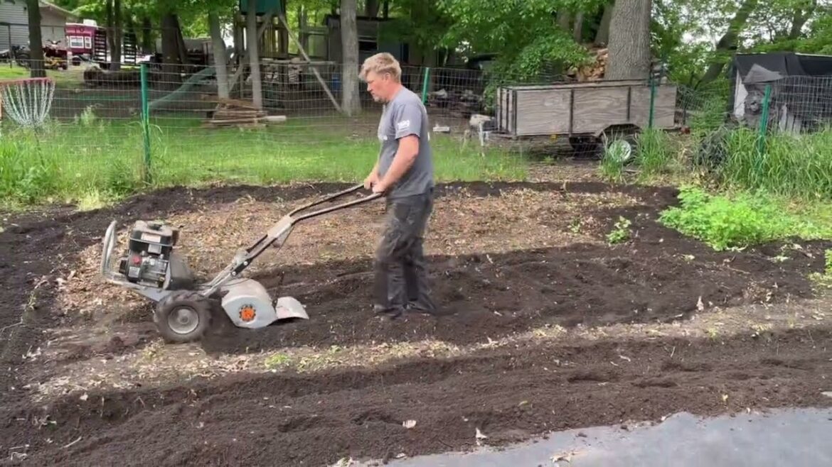 Our garden this year has EDIBLE weeds!! #family #vlog Our garden this year has EDIBLE weeds!! #family #vlog