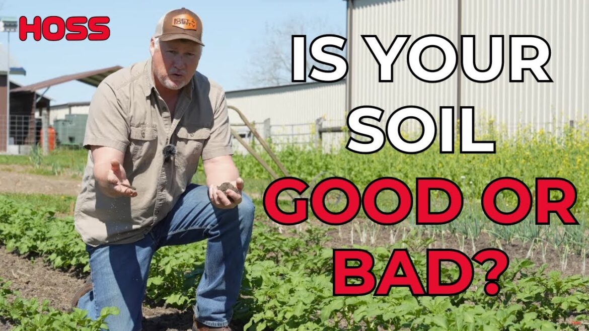 Good or Bad Soil | Pro Gardening Tips