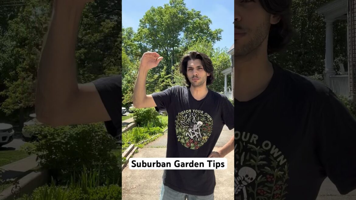 Suburban Garden Tips🌻#garden
