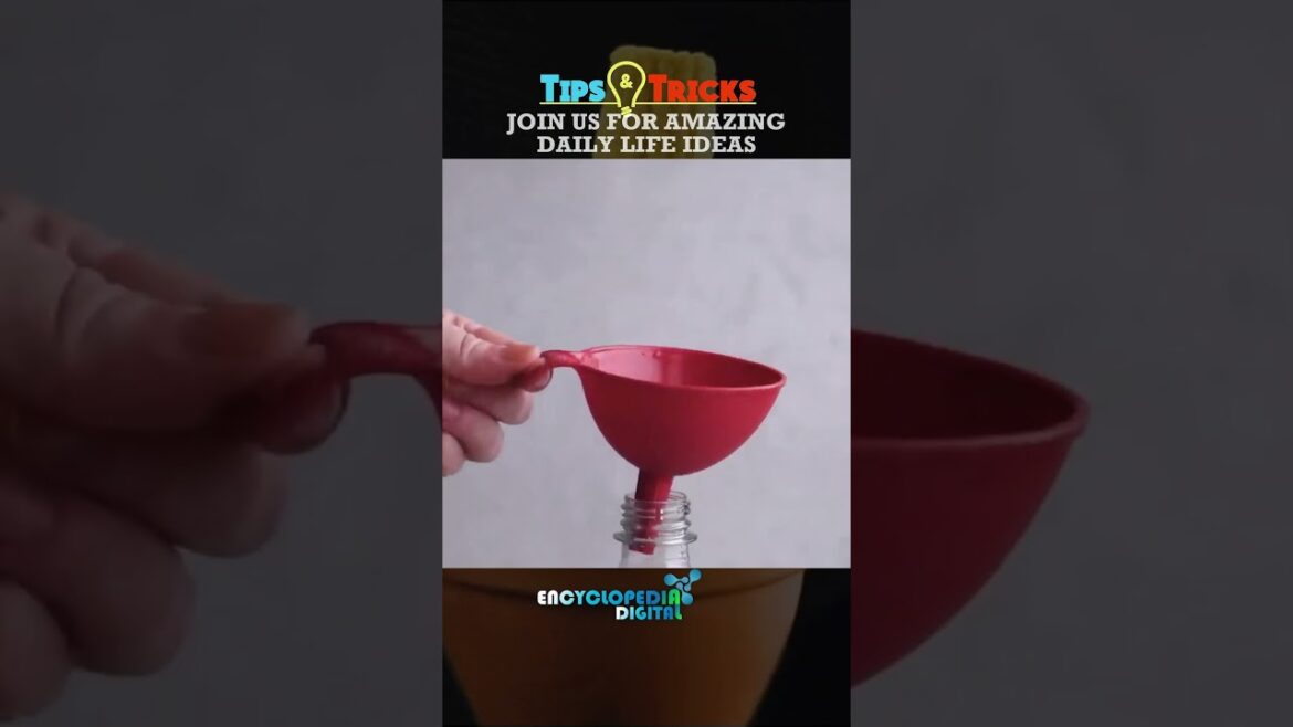 Good to Know | Ever Best Gardening Hacks & Tricks | Gardening Ideas #Gardening #Hacks #Ideas