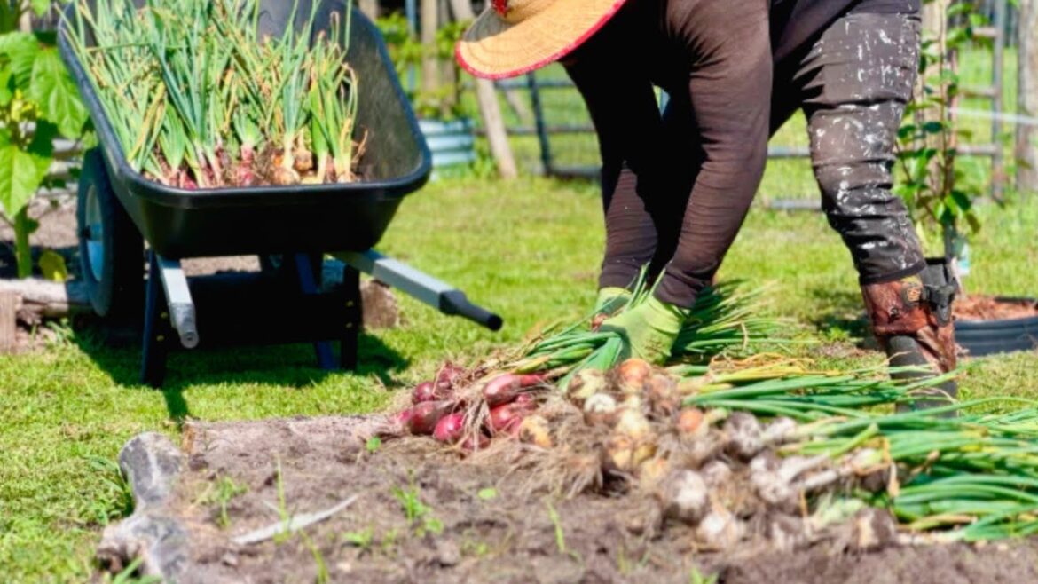 the best part about gardening the best part about gardening