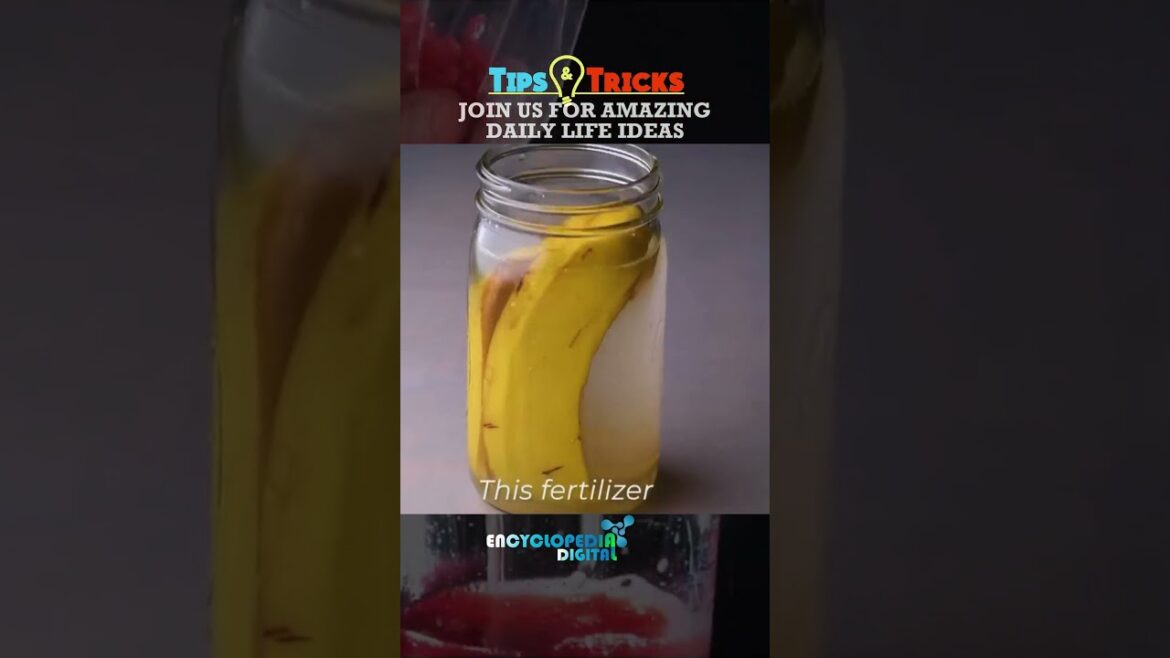Good to Know | Ever Best Gardening Hacks & Tricks | Gardening Ideas #Gardening #Hacks #Ideas