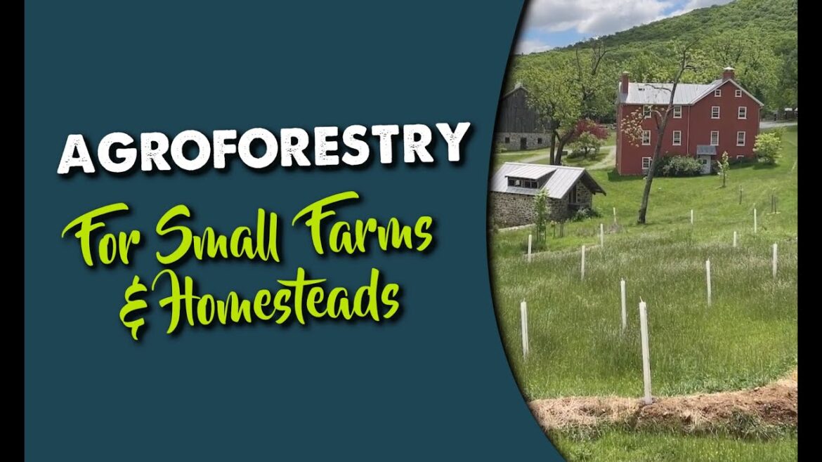 Agroforestry for Small Farms & Homesteads – Food Forest & Homestead Design Agroforestry for Small Farms & Homesteads – Food Forest & Homestead Design
