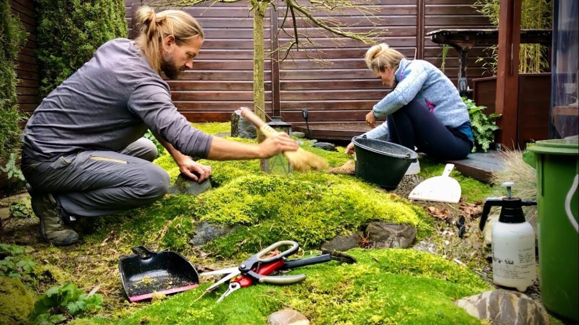 The Start of A New Season - Japanese Garden Early Spring Cleaning (March 2024)