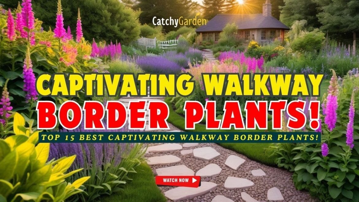 TOP 15 CAPTIVATING WALKWAY BORDER PLANTS! ππΊπΏπΈ // Gardening Ideas TOP 15 CAPTIVATING WALKWAY BORDER PLANTS! ππΊπΏπΈ // Gardening Ideas