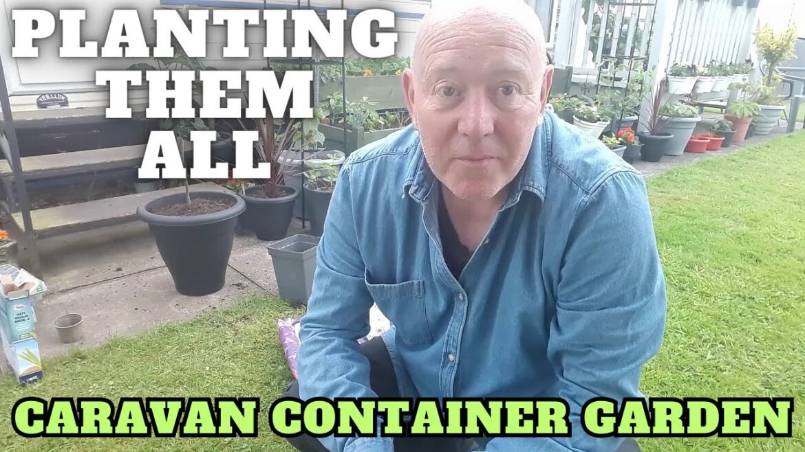 Planting Them All Out In The Caravan Container Garden