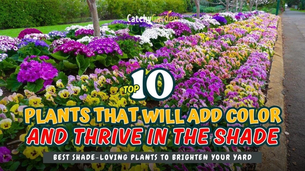 10 Plants That Will add Color and Thrive in the Shade 🌼🌳🌺 // Gardening Tips