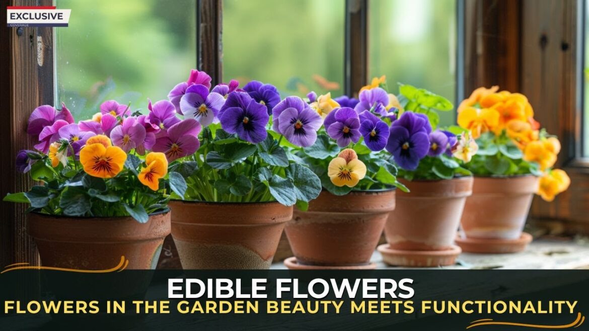 Edible Flowers in the Garden Beauty Meets Functionality