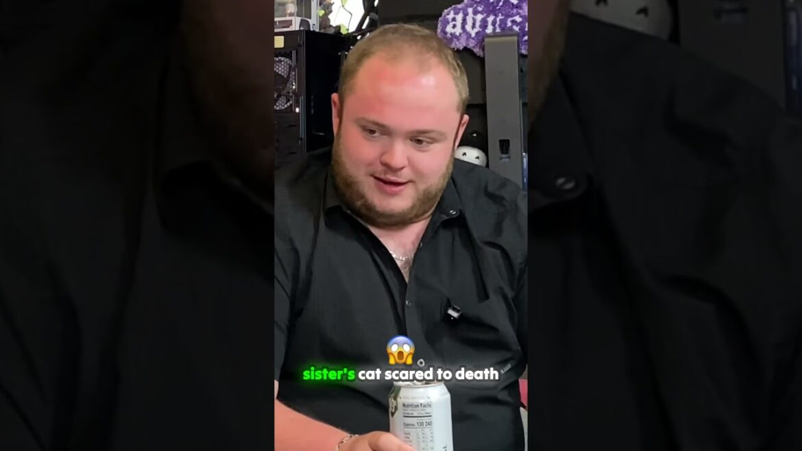 Funny pet stories and garden plans