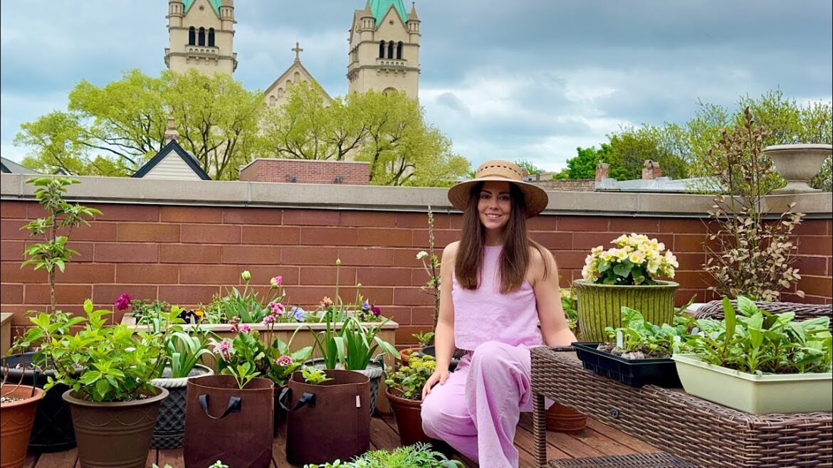 May Container Garden Tour🪴 What’s Growing On My Rooftop Decks! May Container Garden Tour🪴 What's Growing On My Rooftop Decks!