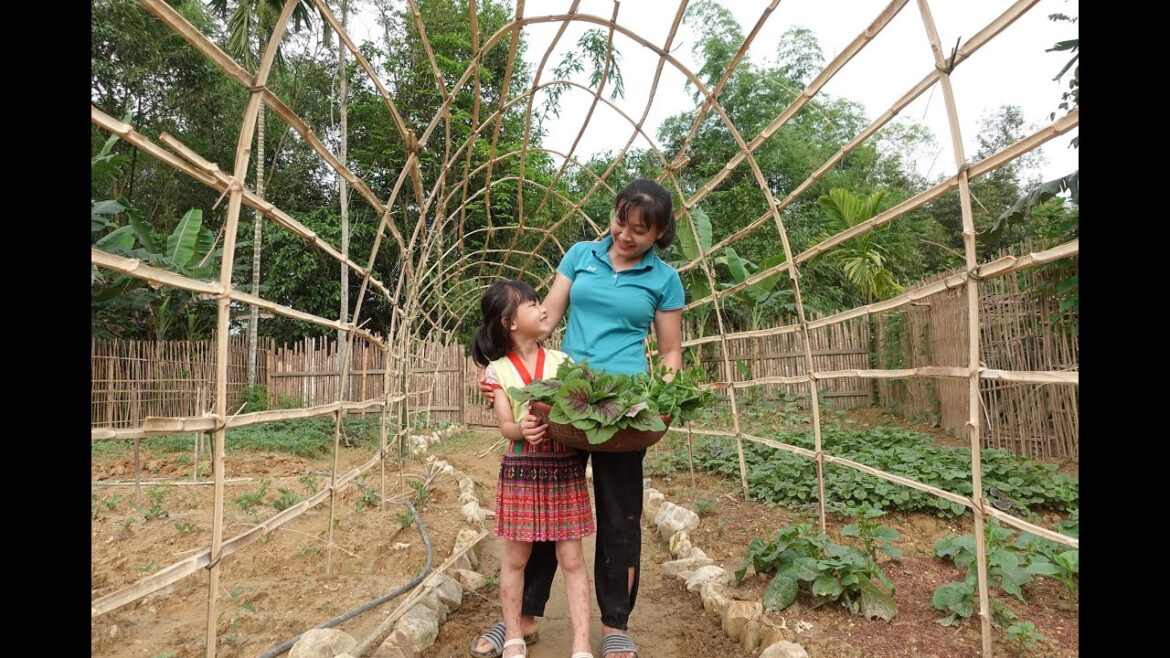 Vegetable gardening: build a bamboo dome to grow cucumbers