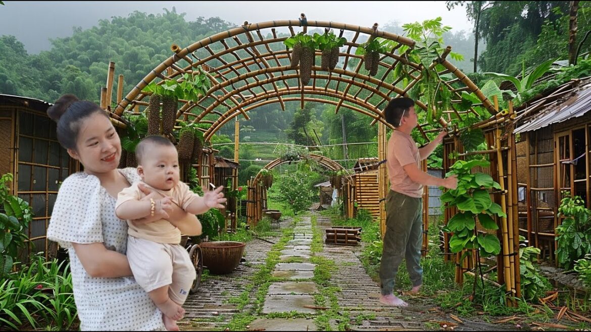 How To Make A Bamboo Trellis For Climbing Plants – Vegetable Gardening | Trịnh Thị Mây How To Make A Bamboo Trellis For Climbing Plants - Vegetable Gardening | Trịnh Thị Mây