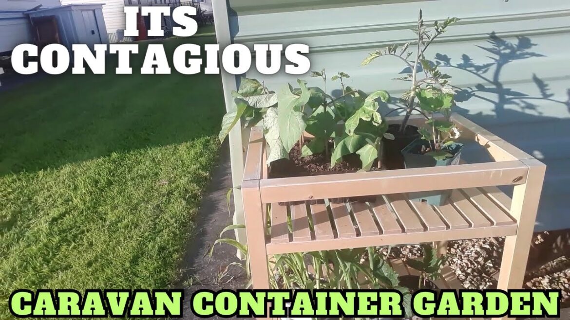 Its Contagious Caravan Container Garden Its Contagious Caravan Container Garden