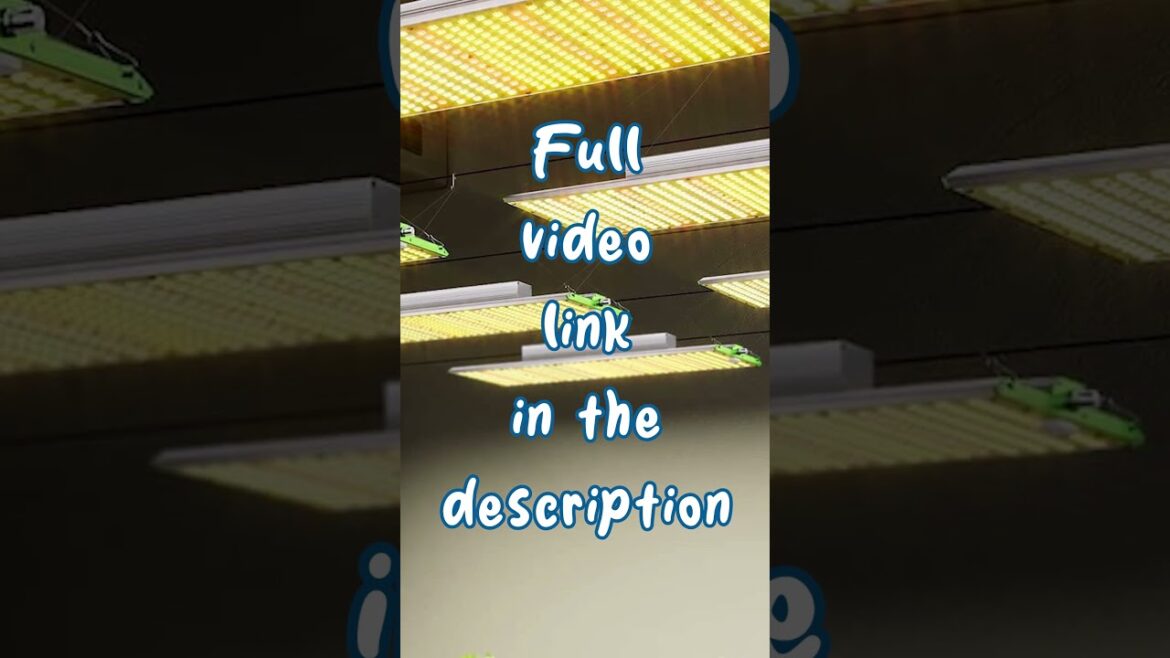 🚨Best LED Grow Lights 2024: Maximize Your Yield🚨 🚨Best LED Grow Lights 2024: Maximize Your Yield🚨