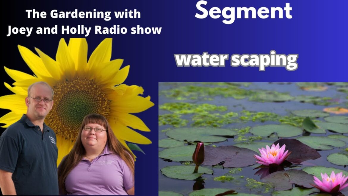 Seg 2 of S8E12 Waterscaping – The gardening with Joey and Holly Radio Show Seg 2 of S8E12 Waterscaping - The gardening with Joey and Holly Radio Show