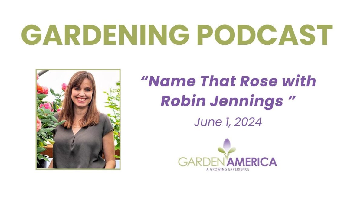 Name That Rose with Robin Jennings  - Garden America Podcasts & Radio Show [6.1.24]