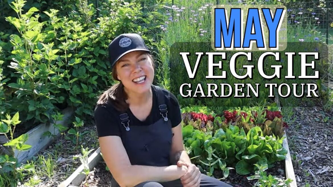 May 2024 Vegetable Garden Tour