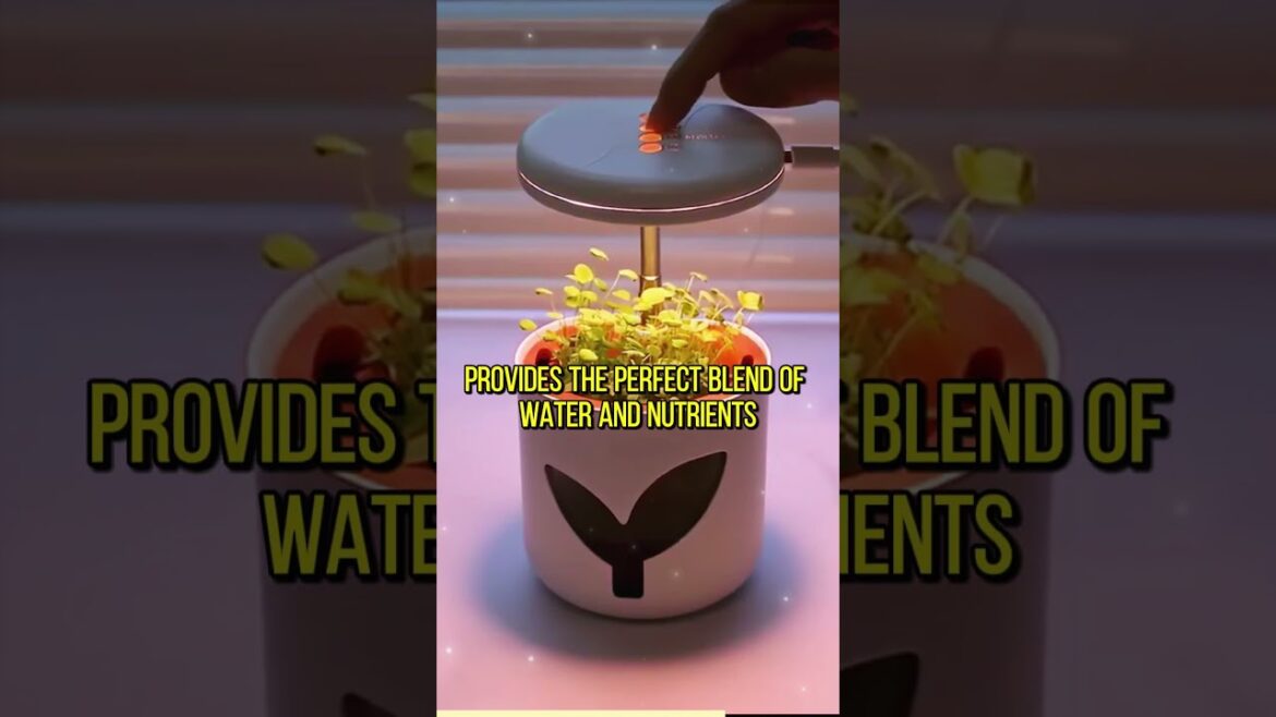 MARS PLANTER – Hydroponics Planter! #shorts #gadgets #viral MARS PLANTER - Hydroponics Planter! #shorts #gadgets #viral
