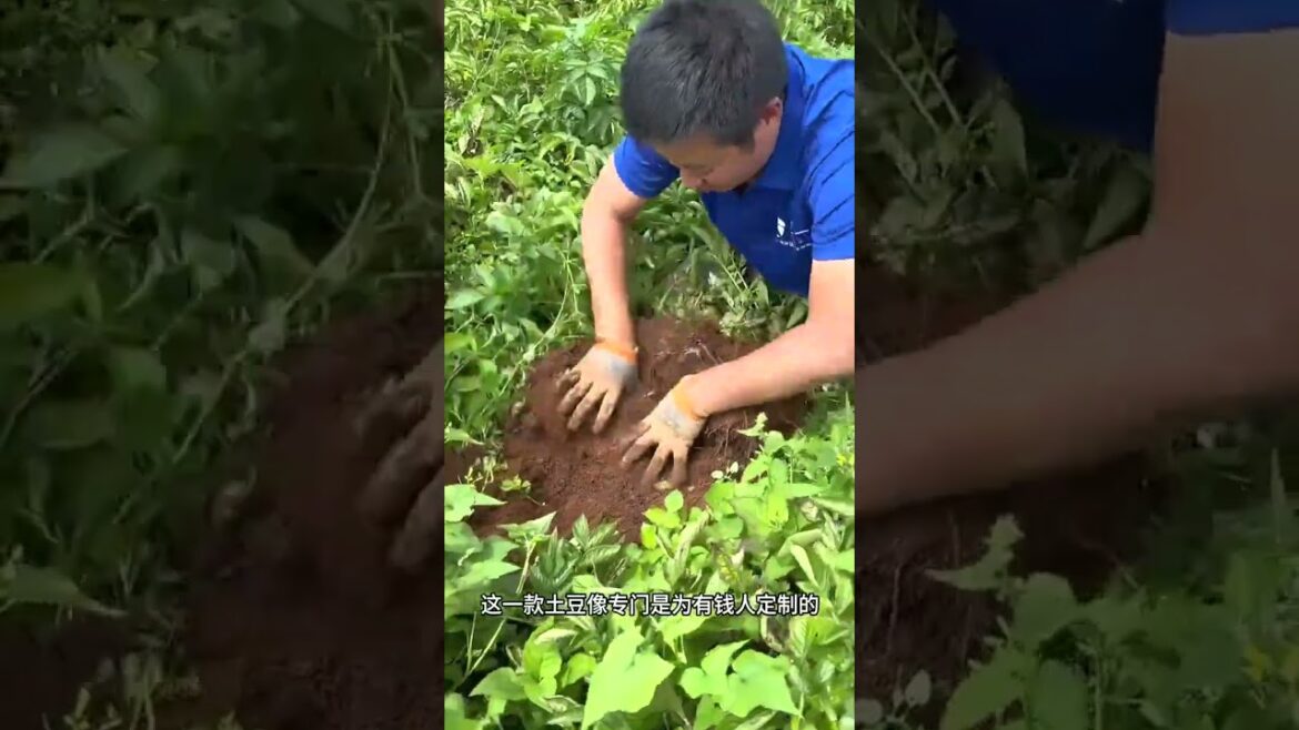 2821 🍉🥜🥭💐🥑 #landscape #CountryScenes #countrylife #BarnyardBlessings #CropsAndCountry