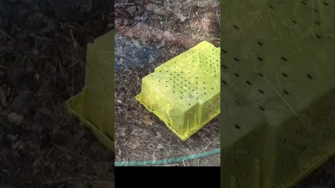 The mulch will let you know when it gets thin The mulch will let you know when it gets thin