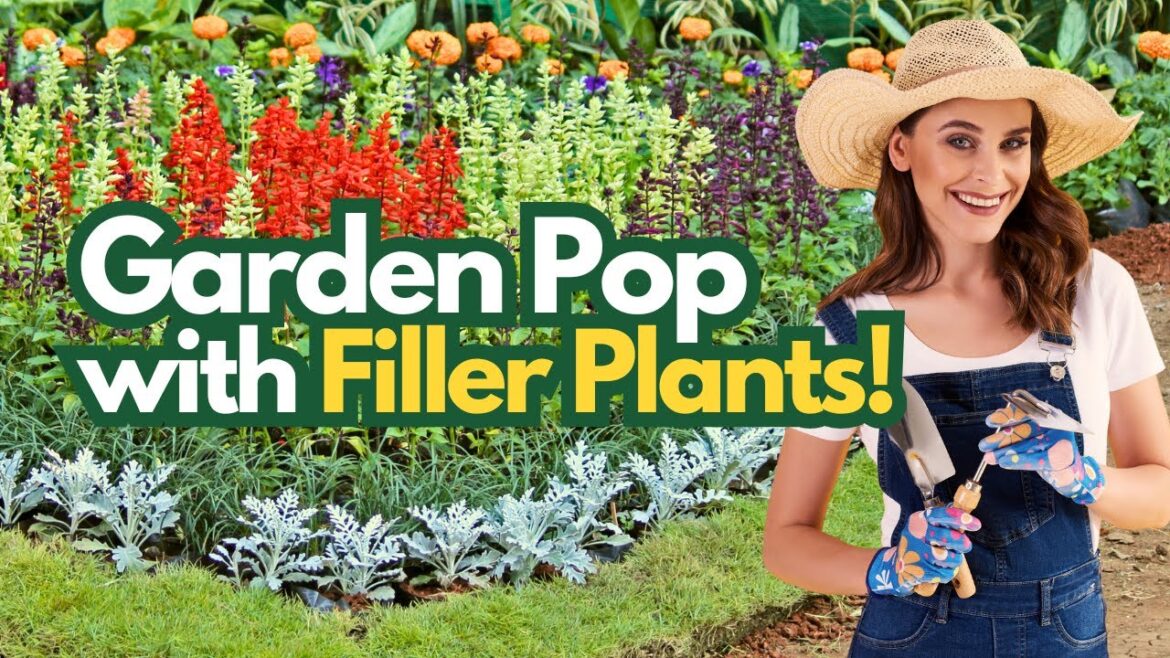 Top 10 Ornamental Filler Plants to Brighten Up Your Landscape 🌿🌺