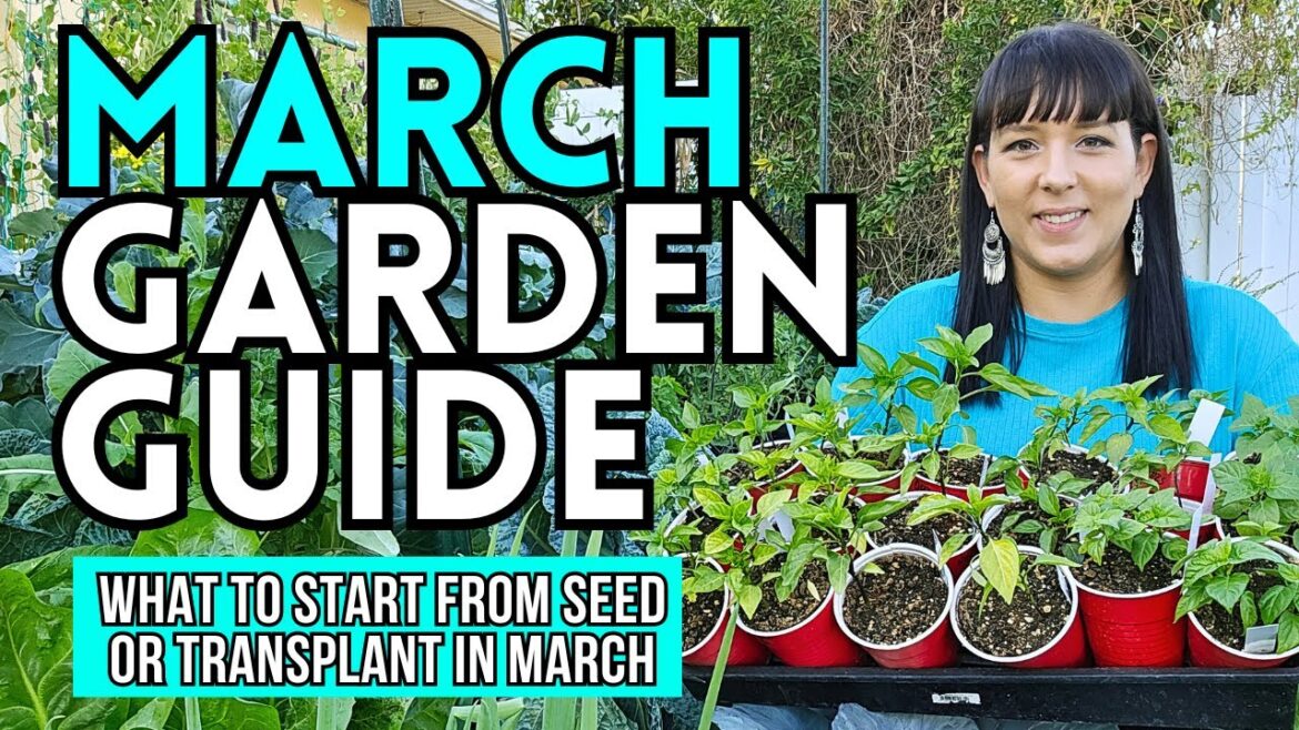 March Garden Guide: What To Start From Seed Or Plant NOW #garden #gardeningtips #vegetablegarden March Garden Guide: What To Start From Seed Or Plant NOW #garden #gardeningtips #vegetablegarden