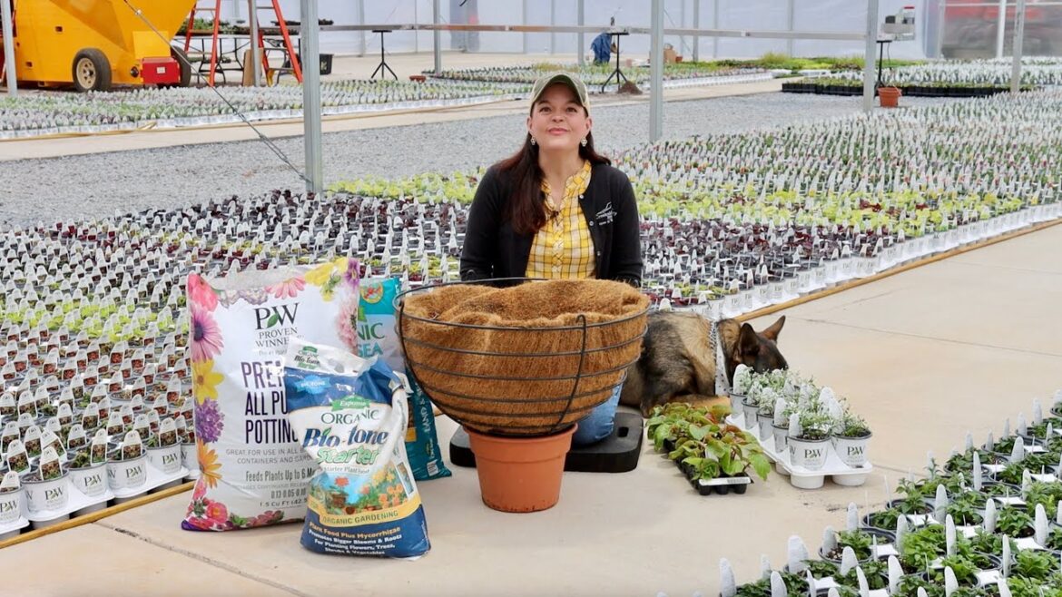 How To Create A Successful Container Step-By-Step