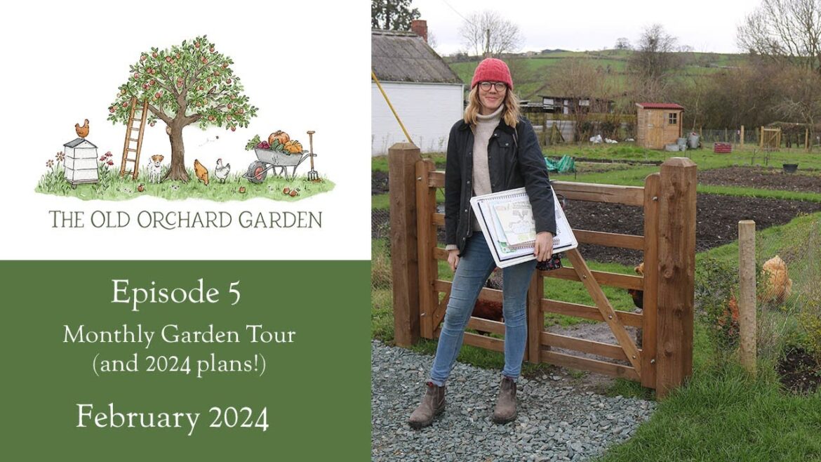 The Old Orchard Garden - Episode Five - February 2024 Garden Tour and Plans!